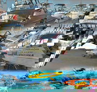 6-Metre Boat Renat Explore Exmouth's Ningaloo Reef - Accommodation Sunshine Coast