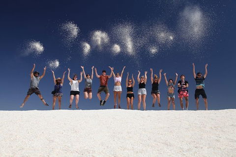 7-Day Exmouth Explorer Via Pinnacles Monkey Mia Ningaloo Reef Returning To Perth - Accommodation Sunshine Coast 1