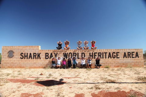 7-Day Exmouth Explorer Via Pinnacles Monkey Mia Ningaloo Reef Returning To Perth - Accommodation Sunshine Coast 14