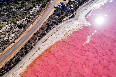 7-Day Exmouth Explorer Via Pinnacles Monkey Mia Ningaloo Reef Returning To Perth - Accommodation Sunshine Coast 5