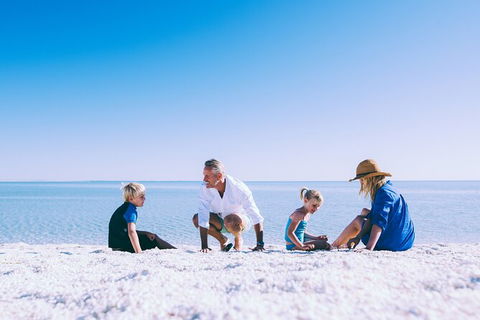 7-Day Exmouth Explorer Via Pinnacles Monkey Mia Ningaloo Reef Returning To Perth - Accommodation Sunshine Coast 6