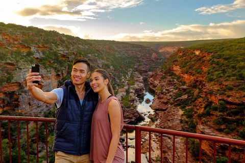7-Day Exmouth Explorer Via Pinnacles Monkey Mia Ningaloo Reef Returning To Perth - Accommodation Sunshine Coast 2