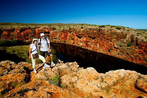 7-Day Exmouth Explorer Via Pinnacles Monkey Mia Ningaloo Reef Returning To Perth - Accommodation Sunshine Coast 12