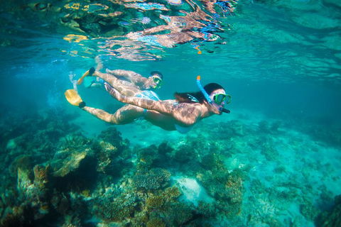 7-Day Exmouth Explorer Via Pinnacles Monkey Mia Ningaloo Reef Returning To Perth - Accommodation Sunshine Coast 13