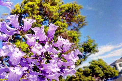 Big Perth (Private) Day Tour - Accommodation Sunshine Coast 19