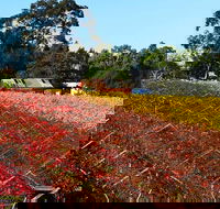 Swan Valley Wine Time Private Day Tour - Accommodation Sunshine Coast