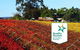 Swan Valley Wine Time (Private) Day Tour - thumb 2