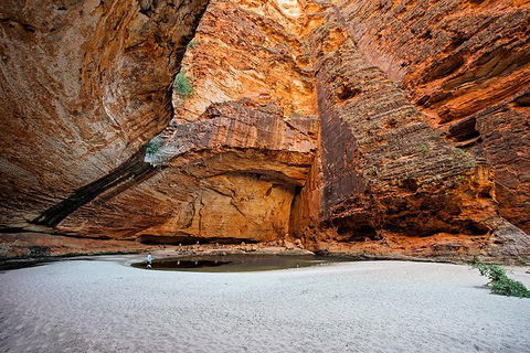 Bungle Bungle Scenic Flights, Domes & Cathedral Gorge Walk - Accommodation Sunshine Coast 0