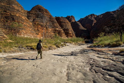 Bungle Bungle Scenic Flights, Domes & Cathedral Gorge Walk - Accommodation Sunshine Coast 7