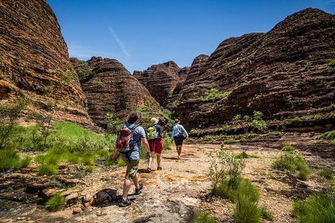 Bungle Bungle Scenic Flights, Domes & Cathedral Gorge Walk - Accommodation Sunshine Coast 4