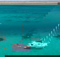 Whale Shark Swim by Catamaran in Shoulder Season - Accommodation Sunshine Coast