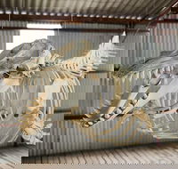 Albany's Whale Story - Accommodation Sunshine Coast