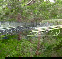 Albany Southwest Wilderness Day Tour - Fly From Perth - Accommodation Sunshine Coast