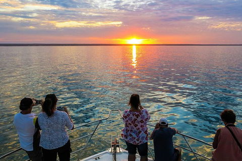 Humpback Whale Sunset Cruise - Accommodation Sunshine Coast 1