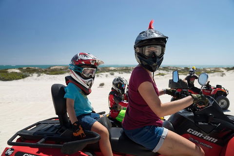 Buggy, Quad Bike, Motocross And Sandboard Tour Lancelin, Sand Dunes - Accommodation Sunshine Coast 1