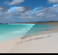 Pink Lake and Abrolhos Full Day Fly and Flipper - Accommodation Sunshine Coast