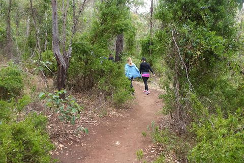 Granite Skywalk Porongurups - Accommodation Sunshine Coast 1