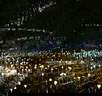National Anzac Centre Field of Light Panorama Pass - Accommodation Sunshine Coast