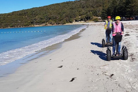 Albany Summit To Sea Adventure - Guided Segway Tour - Accommodation Sunshine Coast 1