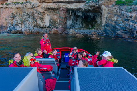 Dunsborough Jet Boat Sea Safari Along Cape Naturaliste Coast - Accommodation Sunshine Coast 0