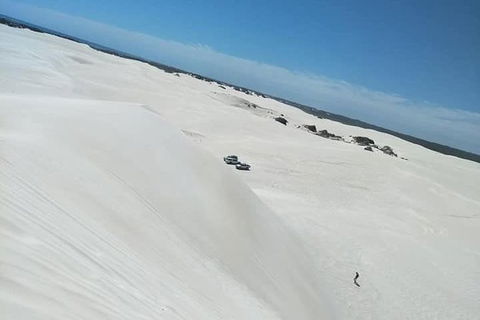 Yanchep & Lancelin - Wildlife, Cave And Sands - Accommodation Sunshine Coast 3