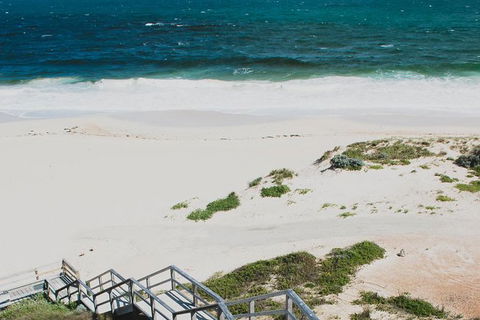 Yanchep & Lancelin - Wildlife, Cave And Sands - Accommodation Sunshine Coast 4