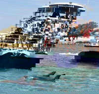 Mandurah Dolphin and Scenic Marine Cruise - Accommodation Sunshine Coast