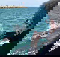Mandurah Dolphin Island Adventure - Accommodation Sunshine Coast