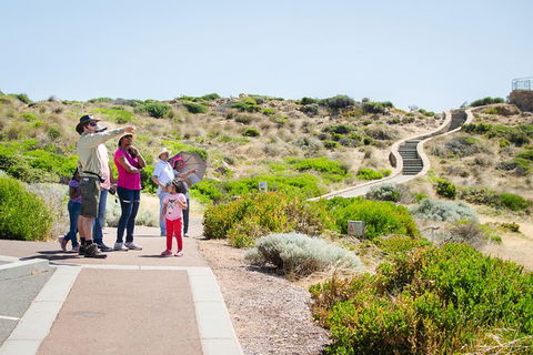 Margaret River Coastal And Wildlife Eco Trip From Busselton Or Dunsborough - Accommodation Sunshine Coast 1
