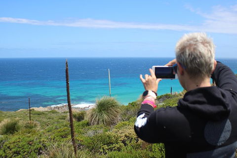 Margaret River Coastal And Wildlife Eco Trip From Busselton Or Dunsborough - Accommodation Sunshine Coast 12
