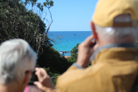 Margaret River Coastal And Wildlife Eco Trip From Busselton Or Dunsborough - Accommodation Sunshine Coast 9