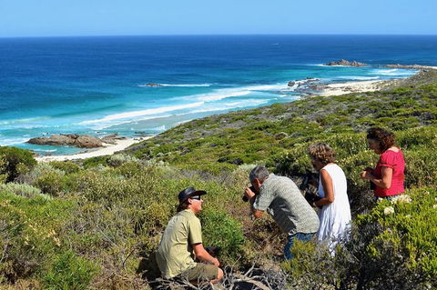 Margaret River Coastal And Wildlife Eco Trip From Busselton Or Dunsborough - Accommodation Sunshine Coast 2