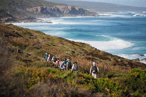 8-Day Cape To Cape Track Guided Walking Tour From Perth - Accommodation Sunshine Coast 0