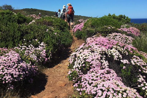 8-Day Cape To Cape Track Guided Walking Tour From Perth - Accommodation Sunshine Coast 4