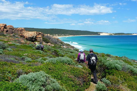 8-Day Cape To Cape Track Guided Walking Tour From Perth - Accommodation Sunshine Coast 7
