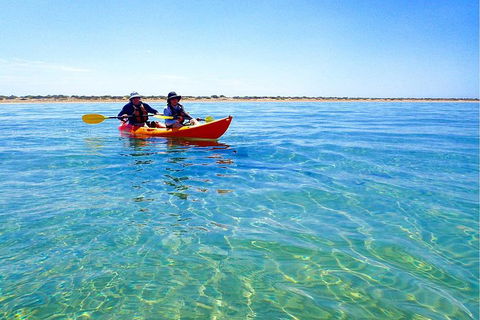 Turtle Tour - Ningaloo Reef Half Day Sea Kayak And Snorkel Tour - Accommodation Sunshine Coast 0