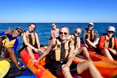 Turtle Tour - Ningaloo Reef Half Day Sea Kayak And Snorkel Tour - Accommodation Sunshine Coast 5