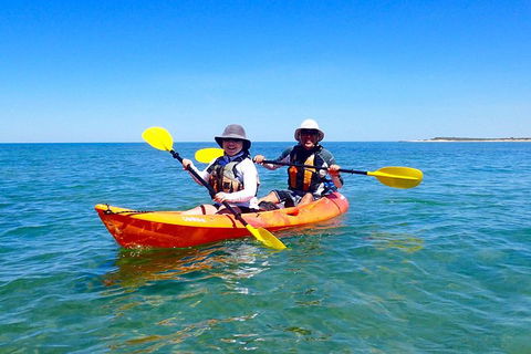 Turtle Tour - Ningaloo Reef Half Day Sea Kayak And Snorkel Tour - Accommodation Sunshine Coast 7