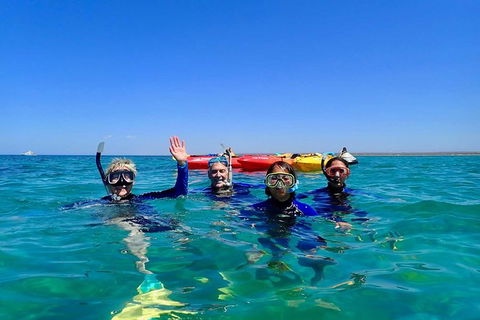 Turtle Tour - Ningaloo Reef Half Day Sea Kayak And Snorkel Tour - Accommodation Sunshine Coast 9