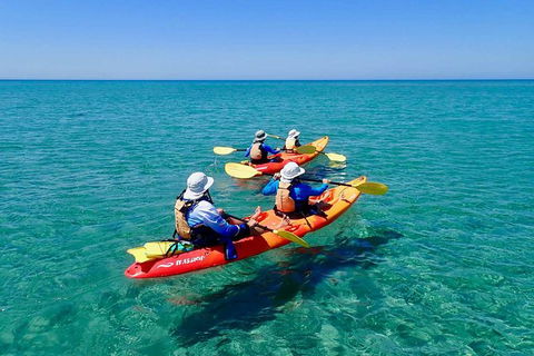 Turtle Tour - Ningaloo Reef Half Day Sea Kayak And Snorkel Tour - Accommodation Sunshine Coast 6