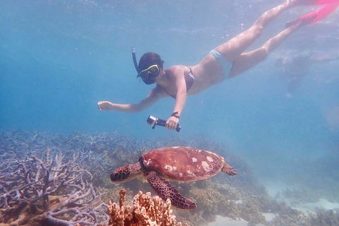 Turtle Tour - Ningaloo Reef Half Day Sea Kayak And Snorkel Tour - Accommodation Sunshine Coast 8