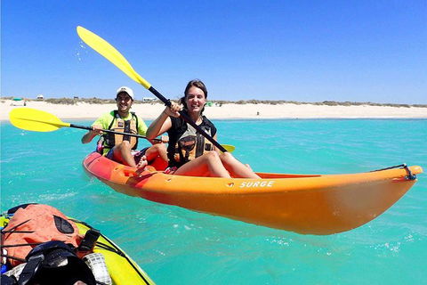 Turtle Tour - Ningaloo Reef Half Day Sea Kayak And Snorkel Tour - Accommodation Sunshine Coast 3