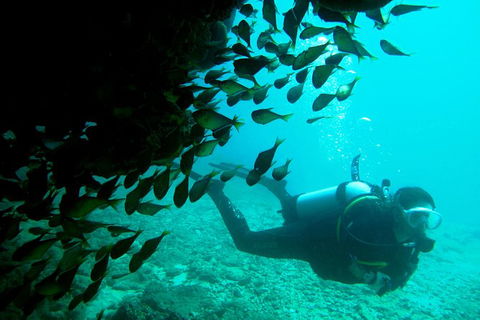 Scuba Dive Ningaloo Reef - Accommodation Sunshine Coast 0