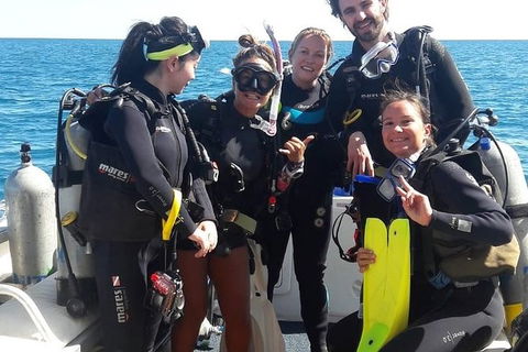 Scuba Dive Ningaloo Reef - Accommodation Sunshine Coast 3