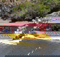 Kalgan Queen Scenic Cruises a four hour sheltered water wildlife tour daily fun. - Accommodation Sunshine Coast