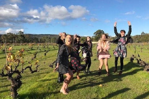 VW Kombi Food, Wine And More Tour (bring The Kids!) - Accommodation Sunshine Coast 3