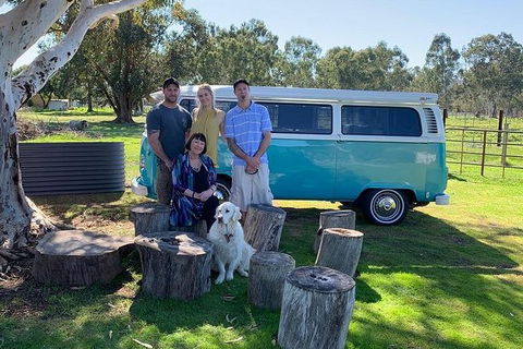 VW Kombi Food, Wine And More Tour (bring The Kids!) - Accommodation Sunshine Coast 4