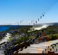 Torndirrup National Park and Bay Highlights - Accommodation Sunshine Coast