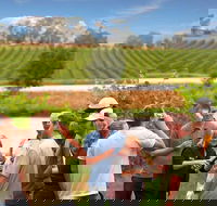 Yarra Valley Wine and Winery Tour from Melbourne - Accommodation Sunshine Coast