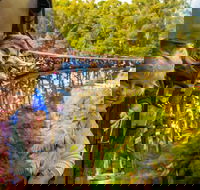 Puffing Billy Steam Train  Healesville Wildlife Sanctuary Tour From Melbourne - Accommodation Sunshine Coast